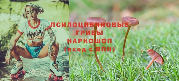 кокаин колумбия Лиски