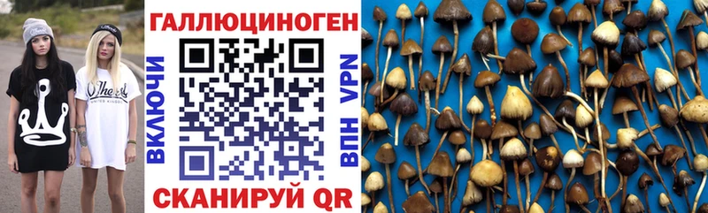 omg онион  Оленегорск  Галлюциногенные грибы прущие грибы 